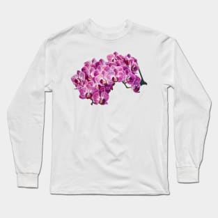 Pink orchid Long Sleeve T-Shirt